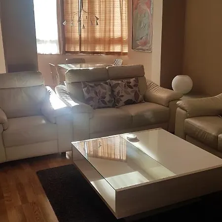 A Nicely Furnished Spacious In A Quiet Part Of Podgorica